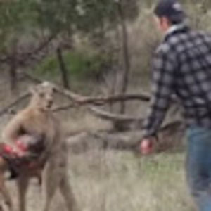 Meet your Posher, Parker